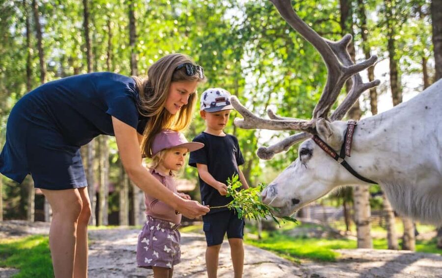 From Rovaniemi: Reindeer Farm Visit with Sleigh Ride - Who will enjoy this activity most?