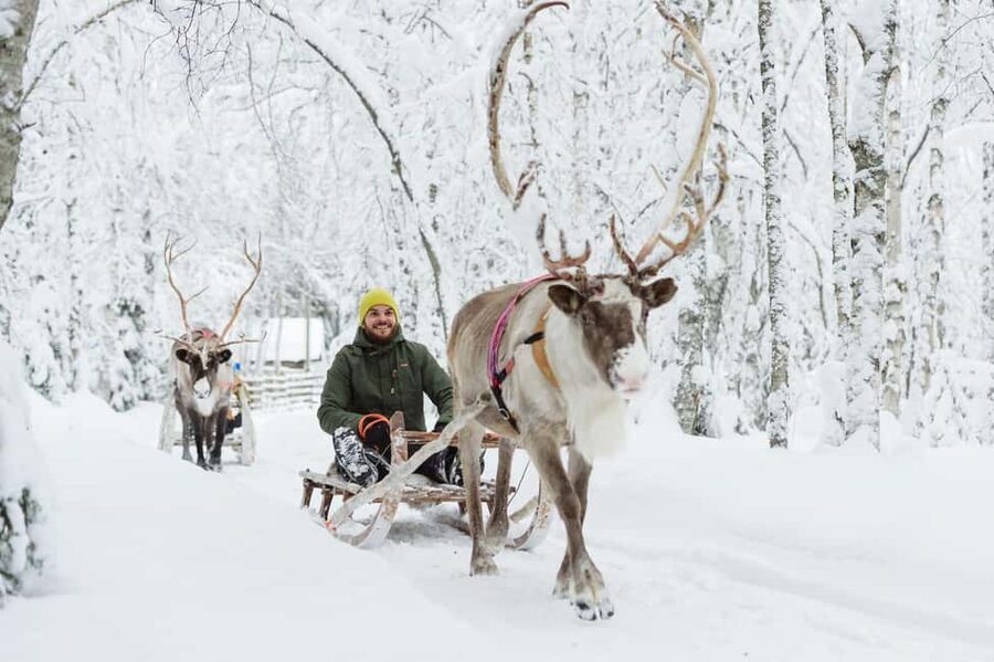From Rovaniemi: Reindeer Farm Visit with Sleigh Ride - Meeting the reindeer at the farm