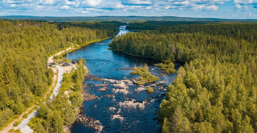 From Rovaniemi: Vikaköngäs Forest Hiking Tour - What the Vikaköngäs outing actually offers