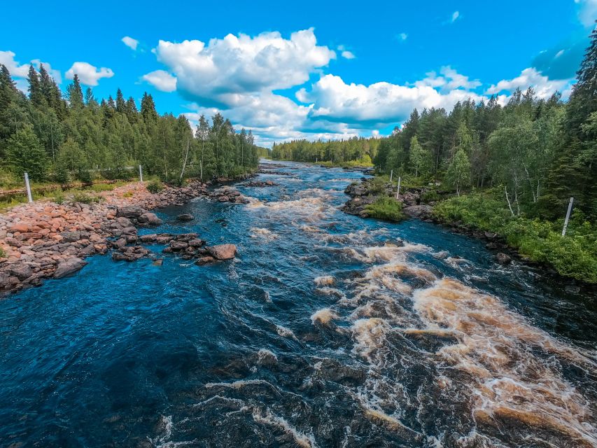 From Rovaniemi: Vikaköngäs Forest Hiking Tour - Walking through forest, gorge, lake, and river country