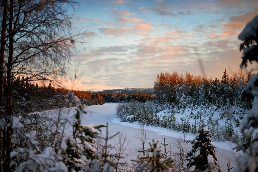 From Rovaniemi: Vikaköngäs Forest Hiking Tour - Who will enjoy this forest walk most?