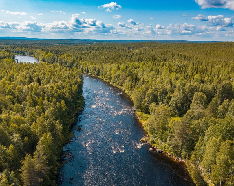 From Rovaniemi: Vikaköngäs Forest Hiking Tour - Booking details that can save you trouble