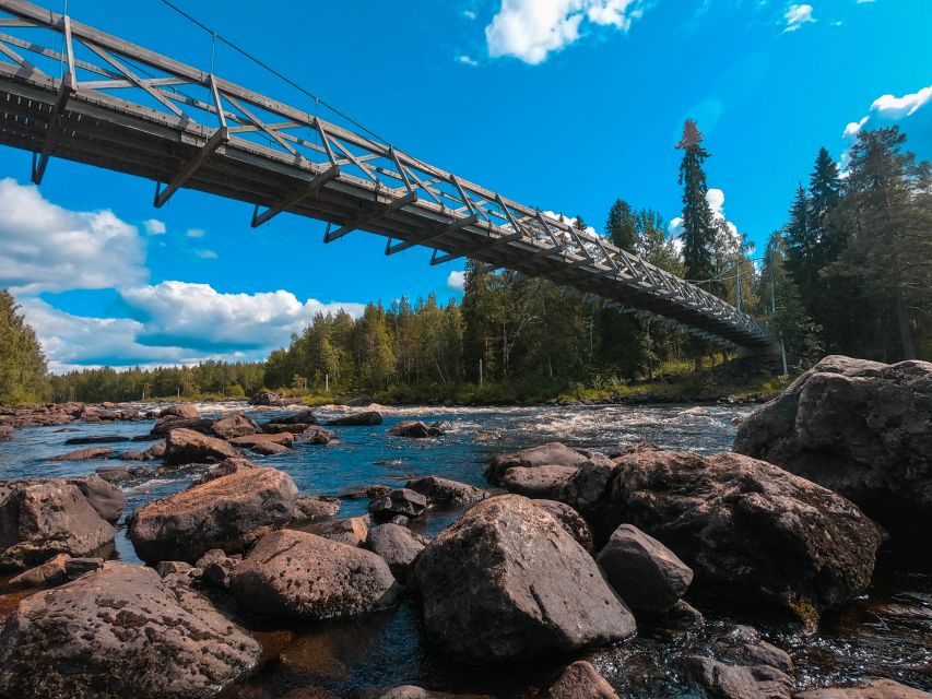 From Rovaniemi: Vikaköngäs Forest Hiking Tour - Leaving Rovaniemi by included pickup