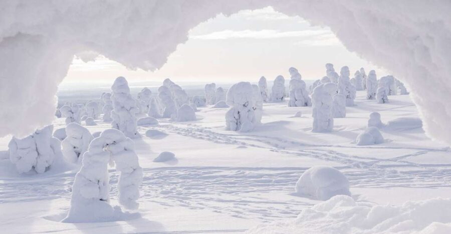 From Rovaniemi: Winter Wonderland Hike with a Hot Drink - Key points at a glance