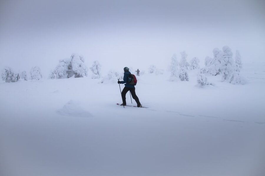 From Rovaniemi: Winter Wonderland Hike with a Hot Drink - Leaving Rovaniemi for the frozen countryside