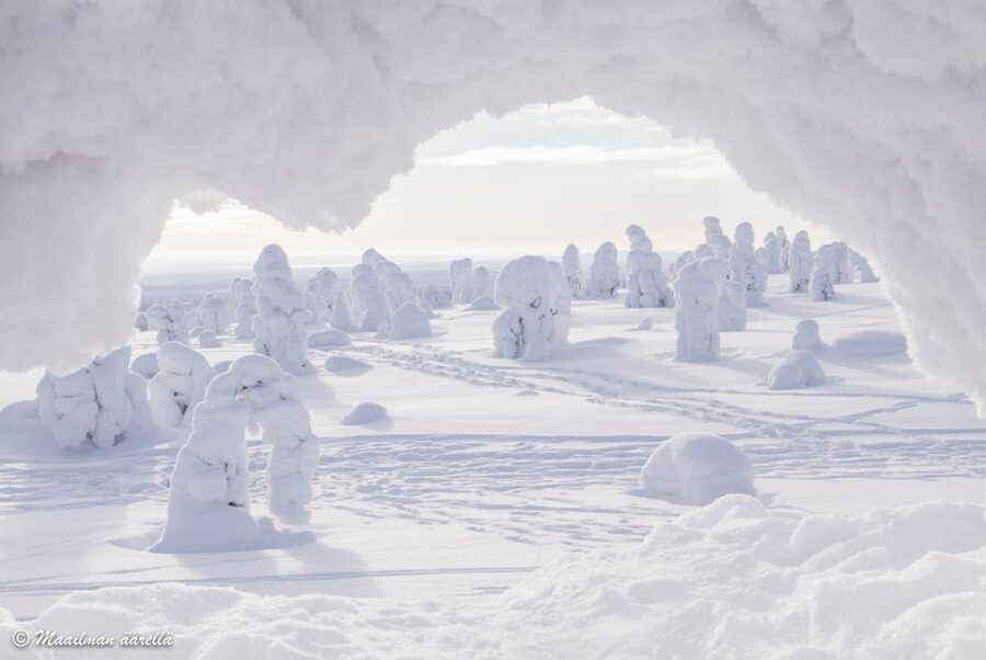 From Rovaniemi: Winter Wonderland Hike with a Hot Drink - Who will enjoy this hike most?