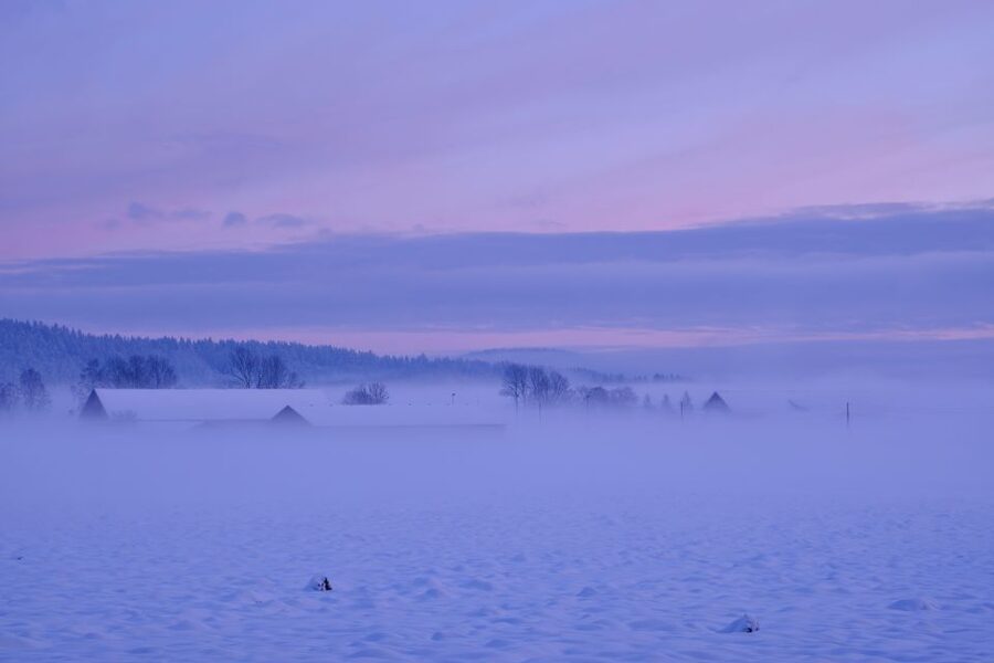 From Rovaniemi: Winter Wonderland Hike with a Hot Drink - Walking through Lapland’s winter wonderland