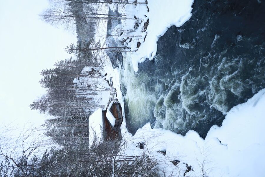 From Ruka: Snowshoeing in Oulanka National Park - Key points to know before you book