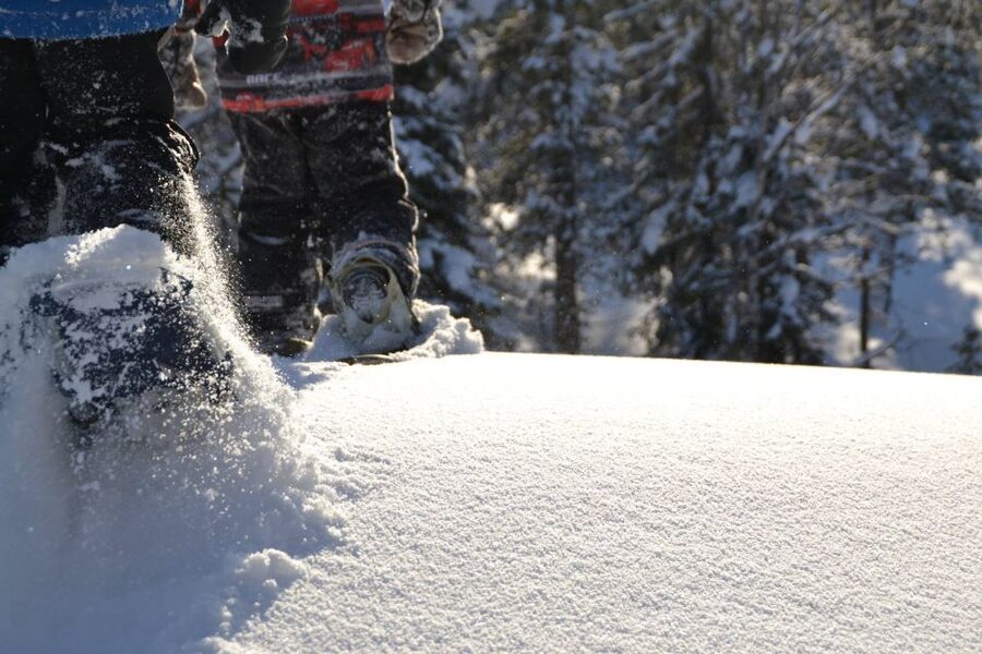 From Ruka: Snowshoeing in Oulanka National Park - Why this Oulanka snowshoe trip is worth your time