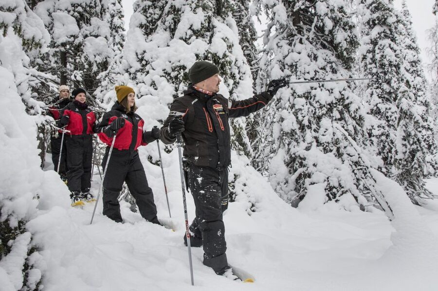 From Ruka: Snowshoeing in Oulanka National Park - Guide quality and group size