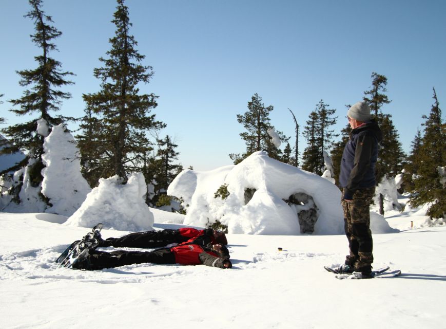 From Ruka: Snowshoeing in Riisitunturi National park - Key points to know before you book
