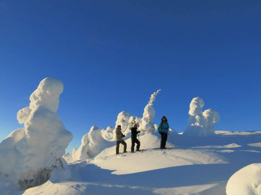 From Ruka: Snowshoeing in Riisitunturi National park - Leaving Ruka for Riisitunturi