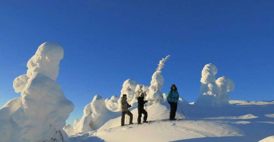 From Ruka: Snowshoeing in Riisitunturi National park - Climbing through the snow-covered forest