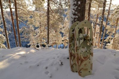 Snowshoeing in Riisitunturi National park