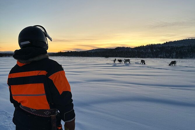 From Saariselkä: Ice Fishing Tour to Lake Inari, reindeers &lunch - Warming up with lunch beside the campfire