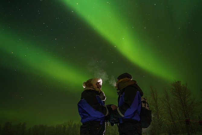 From Saariselkä: Northern lights tour to Lake Inari, incl. dinner - Who will enjoy this five-hour outing