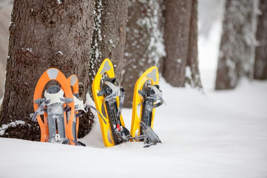 From Sirkka: Levi Summit Guided Nature Snowshoeing Tour - Key points to know before you book