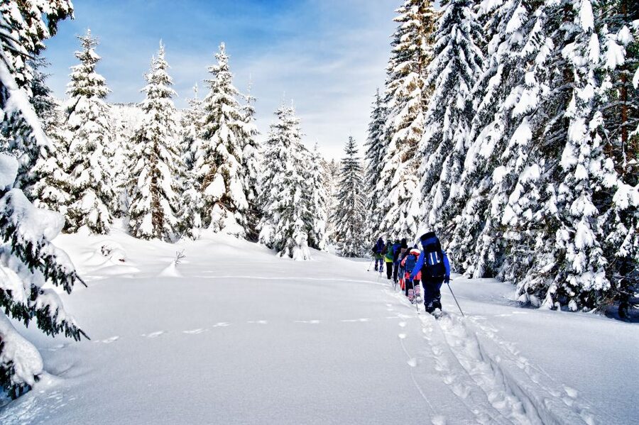 From Sirkka: Levi Summit Guided Nature Snowshoeing Tour - Leaving Sirkka for the snowy woods