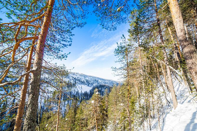 Frozen Waterfalls of Korouoma Canyon tour with Pro Photos & BBQ - Warm Clothing, Boots, and Crampons