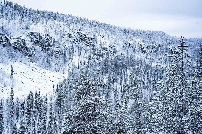 Frozen Waterfalls of Korouoma Canyon tour with Pro Photos & BBQ - BBQ Lunch Beside the Fire