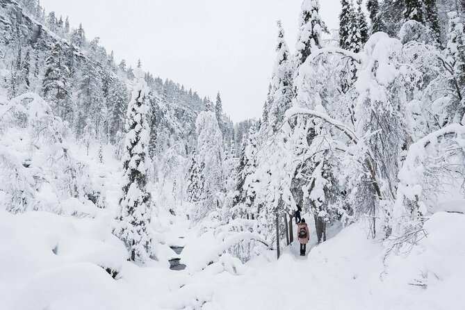 Frozen Waterfalls of Korouoma Canyon tour with Pro Photos & BBQ - Is $158.39 a Fair Price?