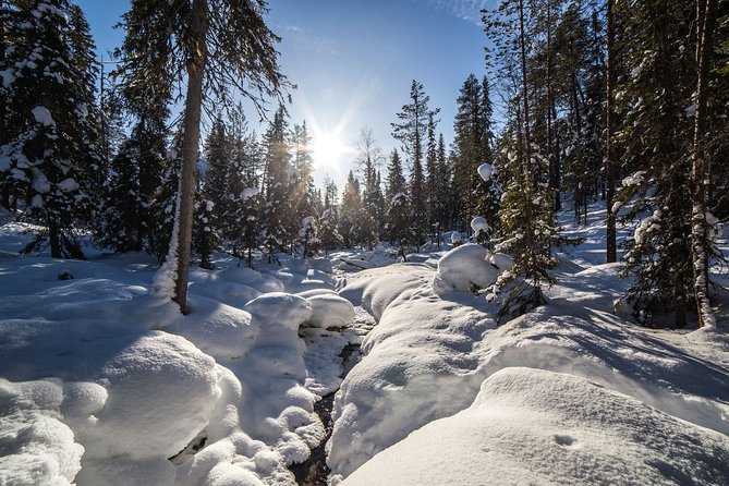 Frozen Waterfalls of Korouoma Canyon tour with Pro Photos & BBQ - Who Should Book This Korouoma Tour?