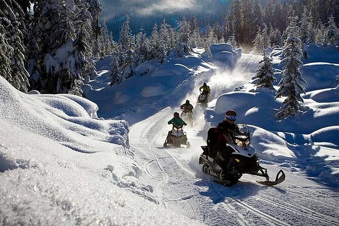 Full Day Snowmobile Safari - Twin driving and the price question