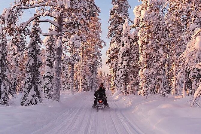 Full Day Snowmobile Safari - Who can ride, and who must use the sledge