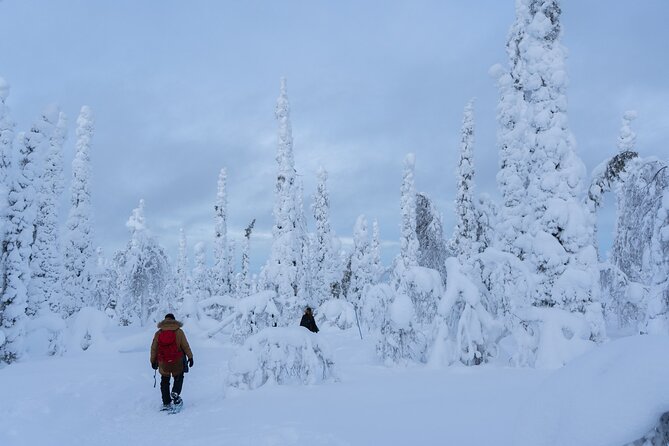 Full-Day Snowshoeing Adventure in Amethyst Mine Pyhä Luosto - Starting the snowshoe hike in old forest