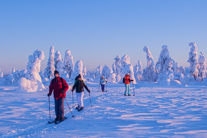 Full-Day Snowshoeing Adventure in Amethyst Mine Pyhä Luosto - How much value do you get for $250.17?