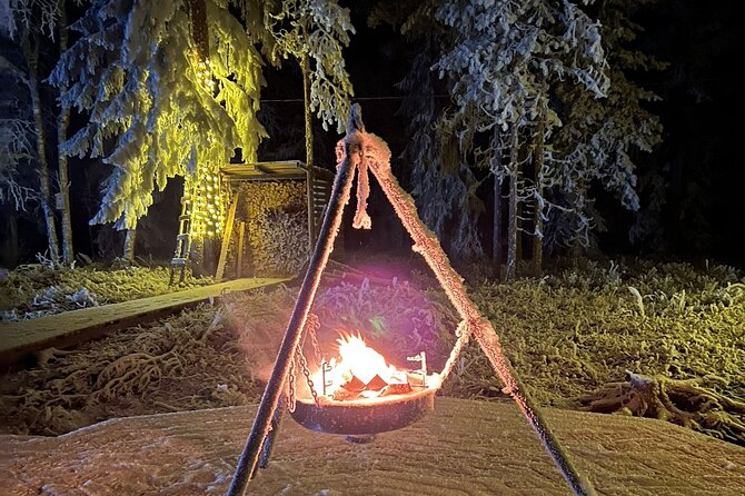 Glass Igloo Campfire Dinner under Northern Lights - Is $402.08 per person good value?