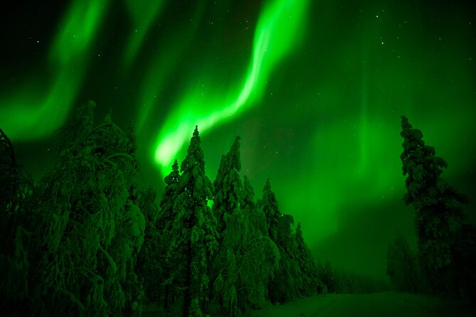 Guaranteed Northern Lights Hunting Adventure in Lapland - Meeting the guide in central Rovaniemi