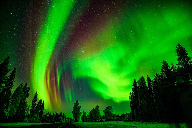 Guaranteed Northern Lights Hunting Adventure in Lapland - Is $238.85 good value?