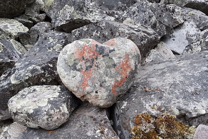 Guided easy hike in Finland deepest gorge in Pyhä-Luosto National Park - Geology, nature, and Sámi culture in one outing