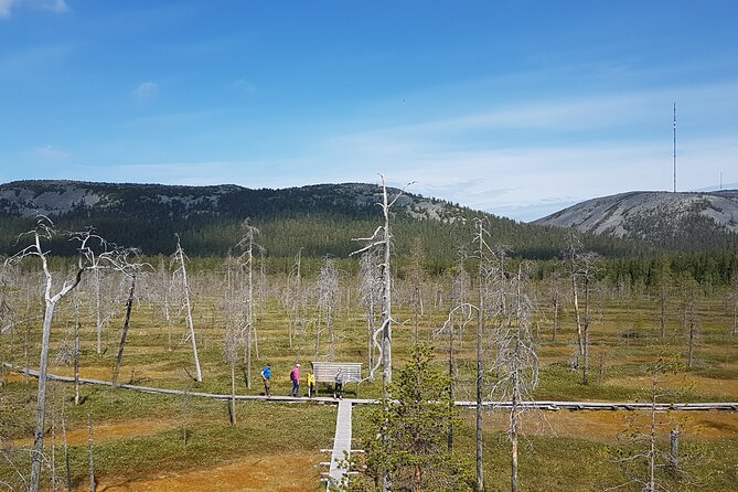 Guided easy hike in Finland deepest gorge in Pyhä-Luosto National Park - Is $80.95 a fair price?