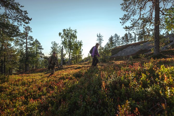 Guided easy hike in Finland deepest gorge in Pyhä-Luosto National Park - Weather, timing, and what to bring