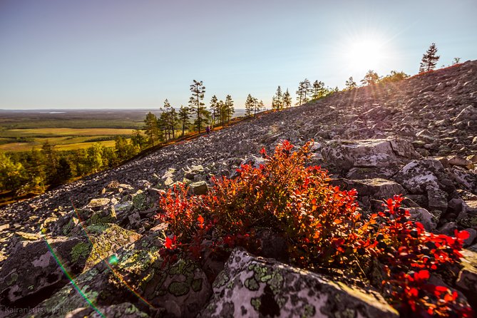 Guided easy hike in Finland deepest gorge in Pyhä-Luosto National Park - Walking through Pyhä-Luosto National Park