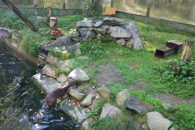 Guided Ranua Wildlife Park tour with Lunch, Small group adventure - Winter, summer, and the animals you may see