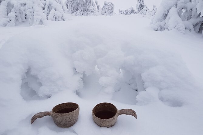 Guided reindeer farm visit and one hour sledge safari - Clothing, daylight, and comfort