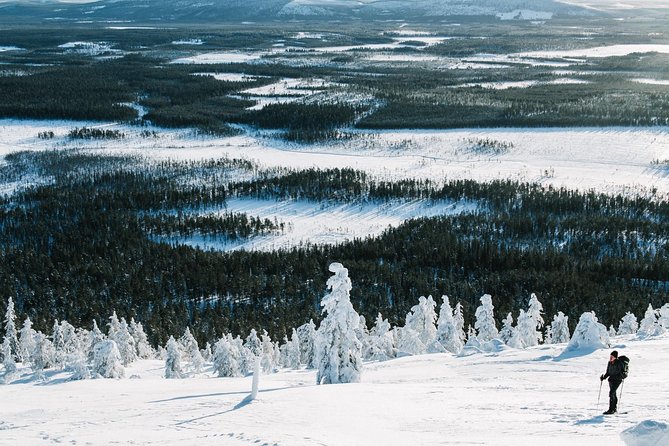 Guided Wilderness Skiing Tour In Pyhätunturi - What the $101.23 price really covers