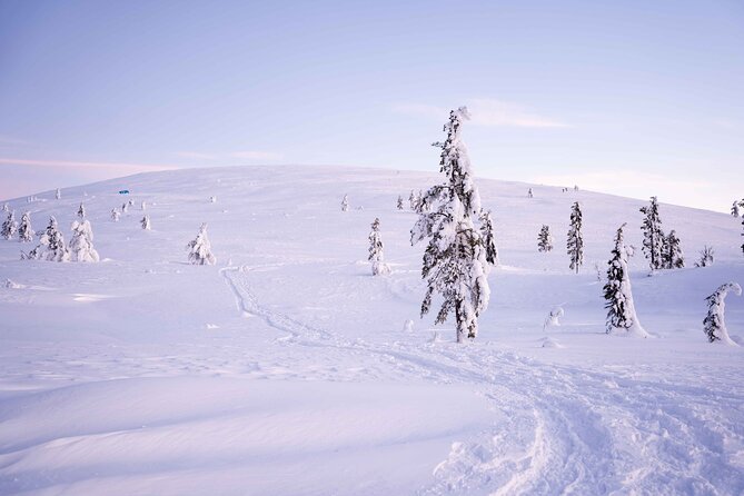 Half-Day Backcountry Skiing Tour in Levi with Photography Guide - A guide who watches the group