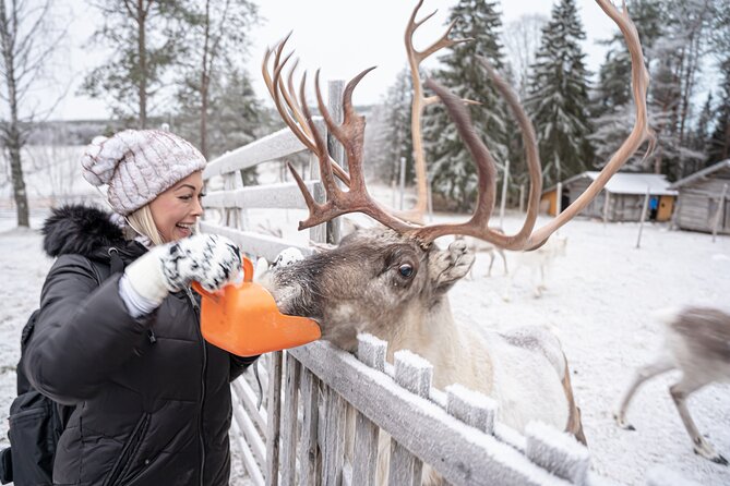 Half-Day Experience in Local reindeer farm in Lapland - The 2 km sleigh ride through snowy woodland