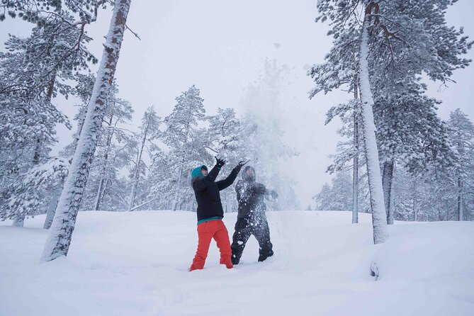 Half Day Guided Tour in the Wilderness of Levi - Choosing between a flat walk and snowshoes