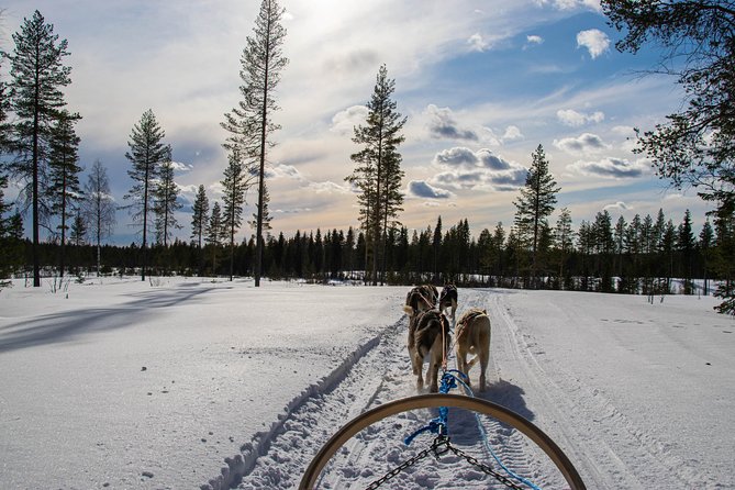 Half-Day Husky Safari and Salmon Ice Fishing Experience - What $264.91 buys you