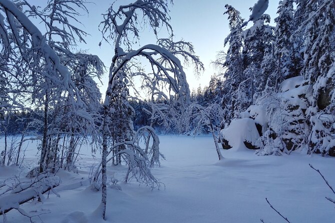 Half-Day Nature Adventure to Nuuksio National Park from Helsinki - Key Points at a Glance