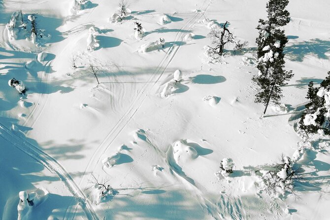 Half Day Snowshoe Hiking Adventure in Levi Lapland - What the $113.79 price covers