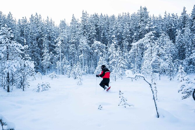 Half Day Snowshoe Hiking Adventure in Levi Lapland - Who will enjoy this outing most