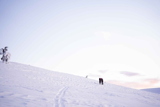 Half Day Snowshoe Hiking Adventure in Levi Lapland - Final call: book it for a gentle taste of Lapland