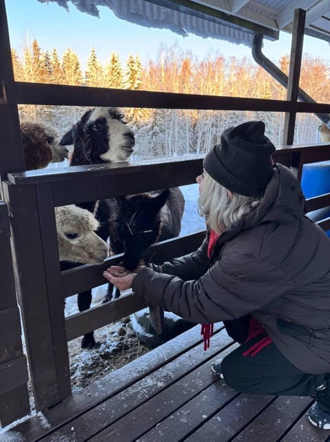 Helsinki: Alpaca Farm Tour with Guided Walk (private) - Practical tips for a better visit