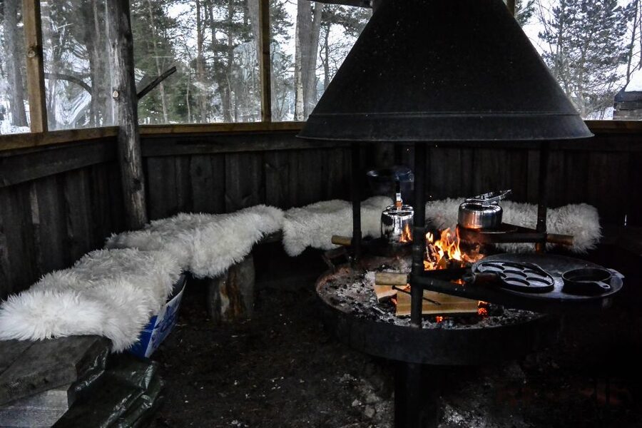 Helsinki: Arctic Ice Experience with Lunch - Key details before you book